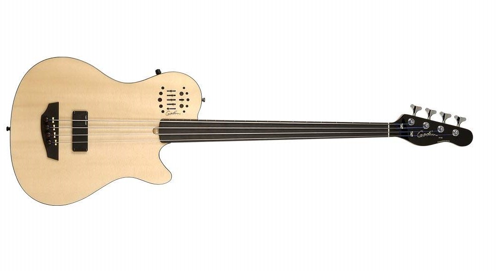 fretless acoustic bass guitar