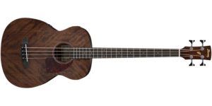 The Acoustic Short Scale Bass Guitar Review - Bass Guitar Hub